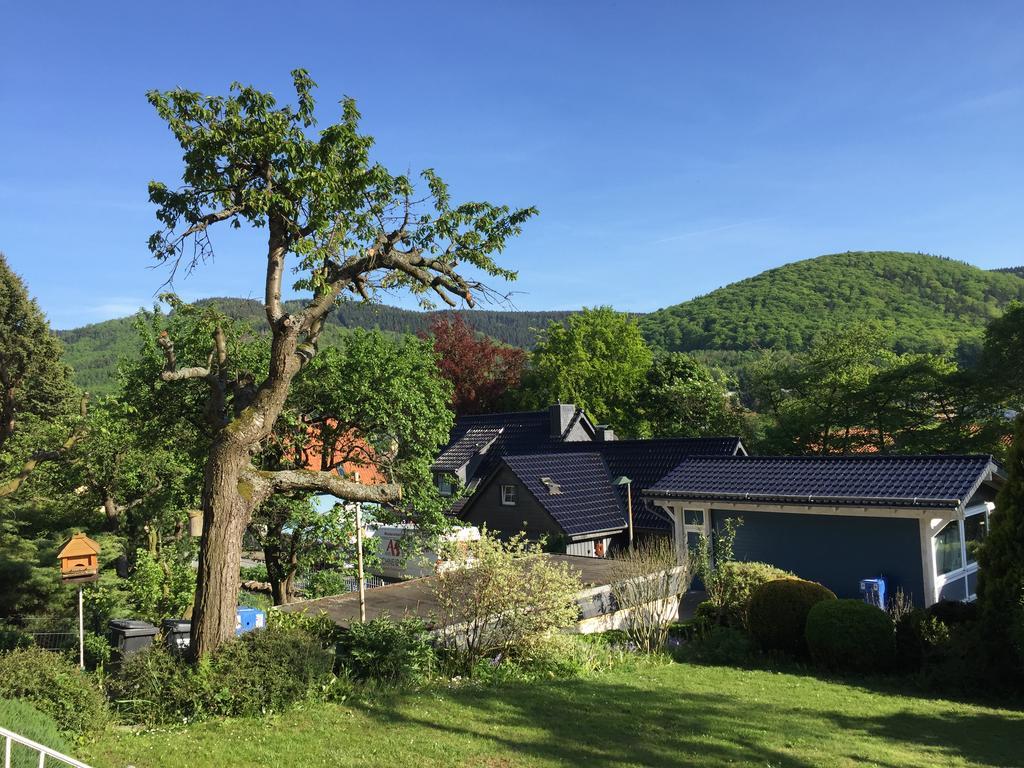 Ferienhaus Goethestrasse Bad Harzburg Dış mekan fotoğraf
